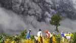 Melihat Lagi Foto-foto Erupsi Sinabung