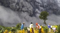 Kepala BPBD Sumut Riadil Akhir Lubis kepada wartawan, Senin (10/8) menyampaikan informasi berdasarkan data dari Pos Pengamatan Gunung Api Sinabung. Erupsi terjadi sekitar pukul 10.16 WIB tadi.