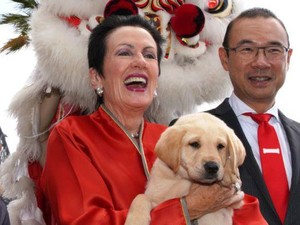 Pejabat Pemkot Sydney Terlibat Organisasi yang Terkait Partai Komunis China