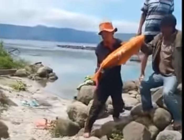 Screenshot video penangkapan ikan mas jumbo di Danau Toba yang viral