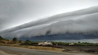 Fitur awan Arcus dapat ditemukan di antara jenis awan Cumulonimbus dan Cumulus.  