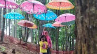 Dulu destinasi ini sempat ngehits, tapi sekarang pamornya cukup meredup. Tapi tempat ini tetap asyik dengan sejumlah daya tarik dan objek foto, seperti payung-payung ini. (Ismet Selamet/detikcom)