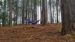 5 Wisata Alam Cianjur yang Ngangenin dan Instagramable