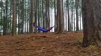 Selain itu, ada juga hammock untuk bersantai traveler. Fasilitas lain di sini, ada bumi perkemahan, rumah pohon, tempat bermain anak, dan museum tani. (Ismet Selamet/detikcom)