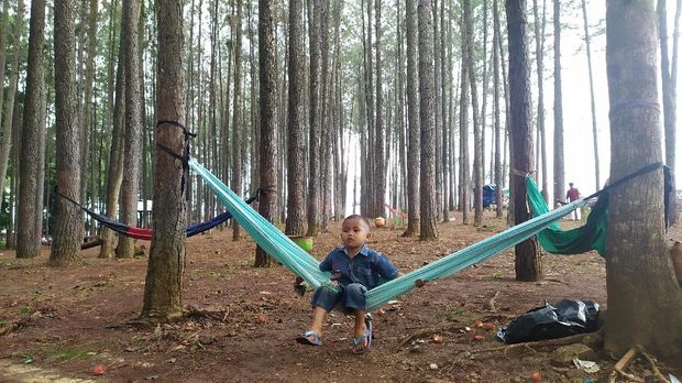 wana wisata Pokland Cianjur, wana wisata Pokland wana wisata Pokland Cianjur, wana wisata Pokland