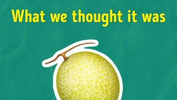 Bila menganggap ini melon sebenarnya tidak salah. Tapi sejatinya ini adalah Yūbari King Melon yang menjadi salah satu simbol status di Jepang. Foto: Brightside