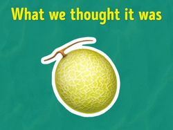 Sederet Emoji yang Kerap Salah Arti