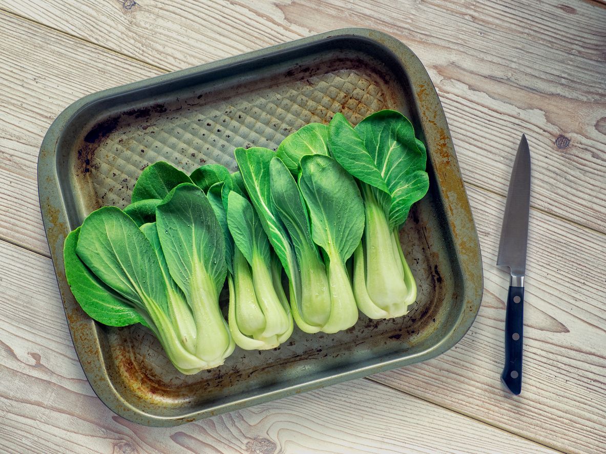 Fresh bok choy vegetable growing using hydroponic method.