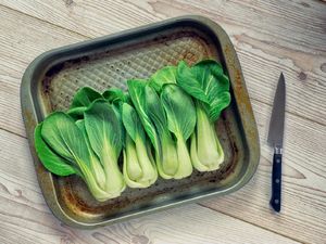 5 Manfaat Pakcoy untuk Kesehatan, Dukung Kekuatan Tulang-Berat Badan Ideal