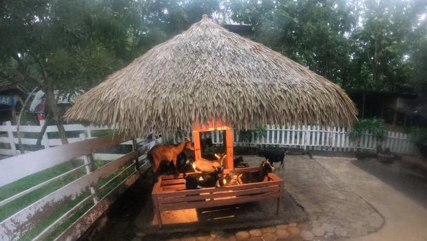 Mengintip Kawasan Peternakan di Eco Green Park Batu