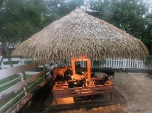 Mengintip Kawasan Peternakan di Eco Green Park Batu