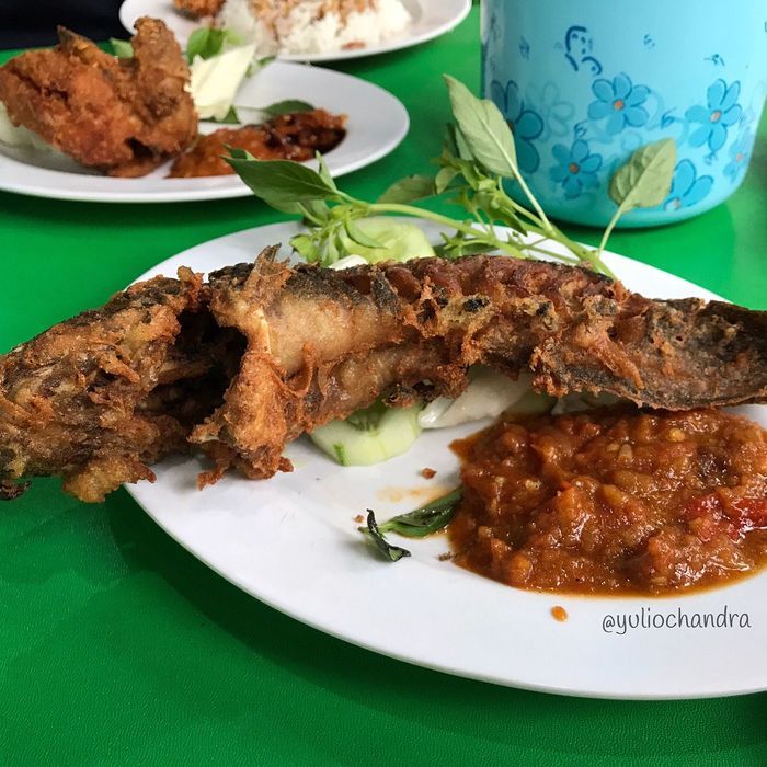 5 Pecel Ayam dan Lele yang Tersohor Nikmat, Favorit