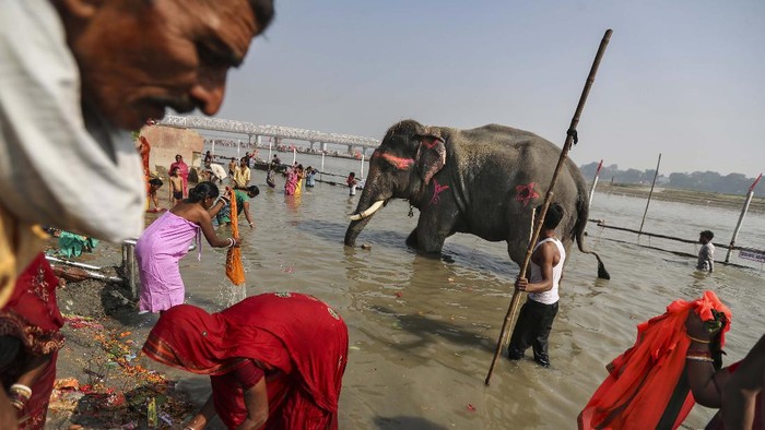 Potret Kehidupan dan Ancaman Lingkungan di Sungai Gangga Hindu pilgrims spend the night huddled together after being forced by high tide to flee from their camps on the eve of Makar Sankranti festival on Sagar Island, an island in the Ganges delta, in the eastern Indian state of West Bengal, Tuesday, Jan. 14, 2020. Sagar and many other small islands which are part of the Sundarbans, the world's largest mangrove forest, have seen a dramatic rise in sea levels due to climate change. The highest point in the Sundarbans is around 3 meters (9.8 feet) and the mean elevation is less than a meter above sea level. (AP Photo/Altaf Qadri)