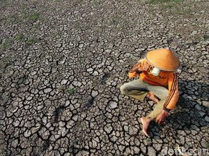 Kisah Kaum Boro Wonogiri, Tinggalkan Tanah Gersang-Kais Harapan di Metropolitan