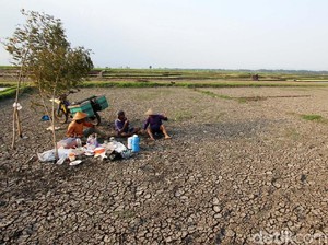 Sejarah Perantau Wonogiri, Ogah Bertani di Lahan Gersang