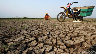 Potret Kekeringan di Waduk Gajah Mungkur