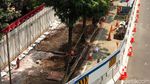Proses Pencabutan Pohon di Lokasi Proyek MRT Fase II