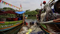  Bendera Merah Putih juga turut menghiasi kapal para nelayan.