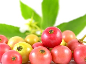 Ceri Kampung Alias Kersen, Buah Manis yang Punya Banyak Manfaat