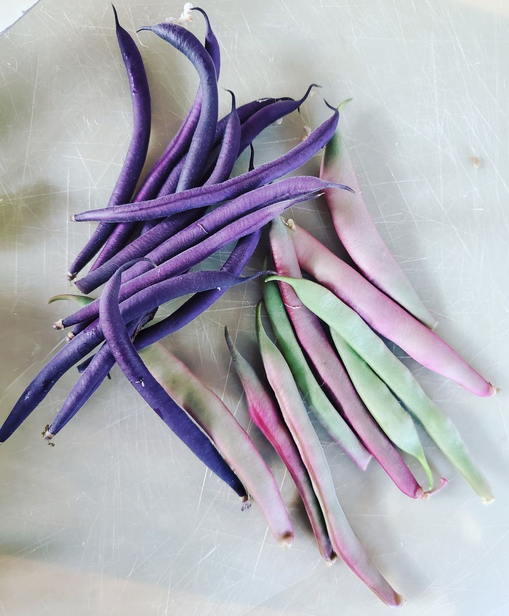 Netizen Pamer Hasil Panen Cabe Pelangi yang Cantik
