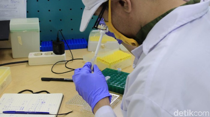 Upaya untuk memproduksi vaksin virus Corona terus dilakukan. Gedung 43 pun rencananya akan dijadikan tempat produksi vaksin COVID-19 di Bandung.