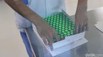Di Sini Vaksin COVID-19 Bakal Diproduksi untuk Lawan Corona