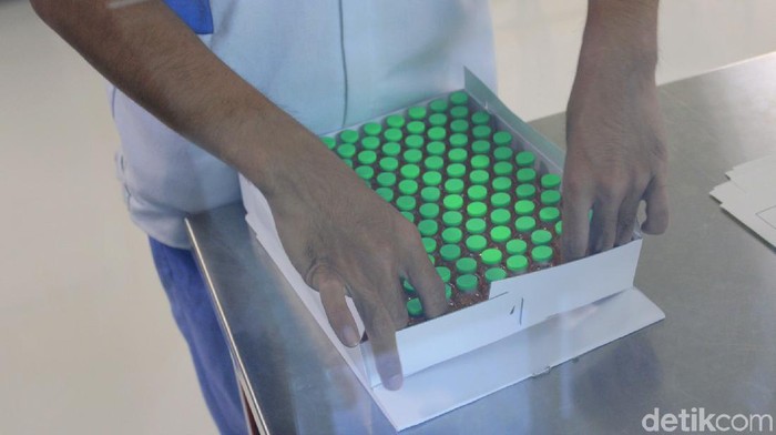 Upaya untuk memproduksi vaksin virus Corona terus dilakukan. Gedung 43 pun rencananya akan dijadikan tempat produksi vaksin COVID-19 di Bandung.