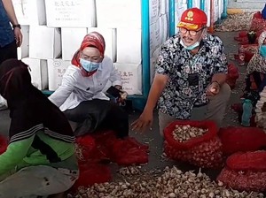 Perdana! Indonesia Ekspor Bawang Putih