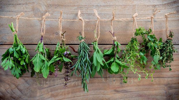 Ice cube tray with herbs frozen in oil and fresh rosemary on grey background, flat lay