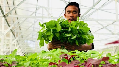 Inovasi Pertanian di Masa Pandemi lewat Metode Aquagriculture