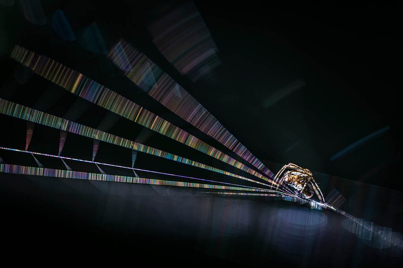 Macro Art Photo Awards 2020