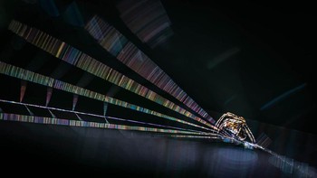 Foto yang dipuji juri karya Rob Blanken dari Belanda. Foto: igpoty.com