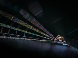 Karya Jawara Kontes Foto Makro yang Memesona Mata