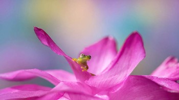 Foto yang dipuji juri karya Barbora Polivkova dari Kosta Rika.Foto: igpoty.com