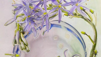 Foto yang dipuji juri karya Marie Phelan dari Irlandia. Foto: igpoty.com