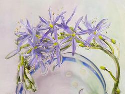 Karya Jawara Kontes Foto Makro yang Memesona Mata