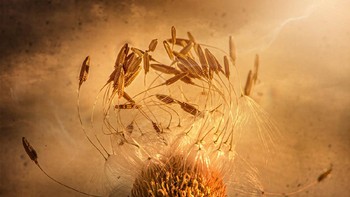 Karya finalis Kristina Zvinakeviciute dari Inggris. Foto: igpoty.com/