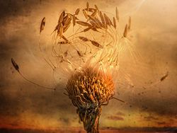 Karya Jawara Kontes Foto Makro yang Memesona Mata