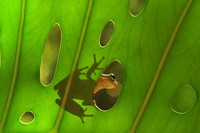 Macro Art Photo Awards 2020