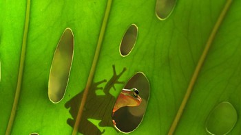 Foto yang sangat dipuji juri karya Minghui Yuan dari China. Foto: igpoty.com/