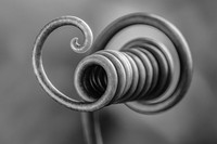 Macro Art Photo Awards 2020