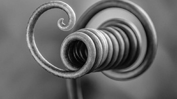 Juara pertama diraih Bruno Militelli dari Brasil. Bukan kawat, ini adalah tanaman. Foto: igpoty.com