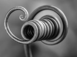 Karya Jawara Kontes Foto Makro yang Memesona Mata