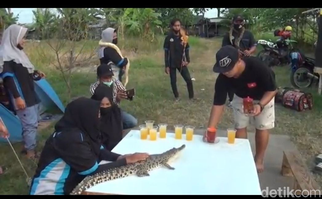 Minum wedang ditemani biinatang buas