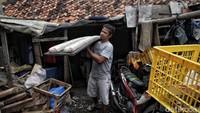 Tempe sendiri masih menjadi makanan pokok yang banyak diminati oleh orang Indonesia.  