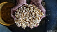 Untuk harga kacang kedelai sendiri mengalami peningkatan harga dari Rp 6.200 menjadi Rp 7.200 per kilogram.   