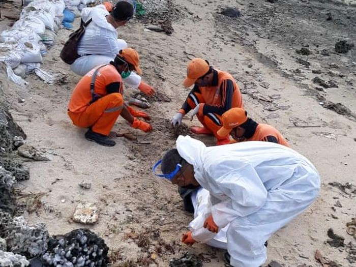 Pertamina bersihkan tumpahan minyak di Pulau Pari