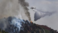 Dengan helikopter petugas berusaha memadamkan api. Chelsea Self/Glenwood Springs Post Independent via AP.