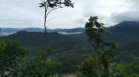 Bila hujan dengan curah sedang atau gerimis, pada esok paginya awan atau kabut cukup tebal menimbulkan fenomena tersebut. Namun bila hujan sangat deras, kemungkinan fenomena itu muncul masih ada tapi awan yang nampak hanya sebagian. (Dadang Hermansyah/detikcom)