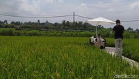 Adapun untuk hari biasa buka mulai pukul 08.00 sampai 17.00 WIB. Sedangkan untuk hari Sabtu dan Minggu buka mulai pukul 06.30 sampai 18.00 WIB.  